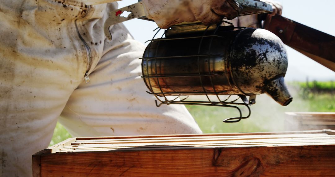 Beekeeper Using Smoker on Wooden Hive - Free Images, Stock Photos and Pictures on Pikwizard.com