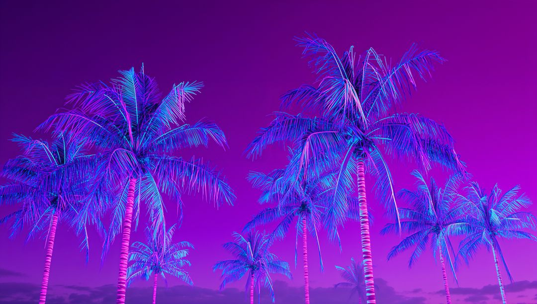 Neon Lit Palm Trees Under Vibrant Magenta Twilight