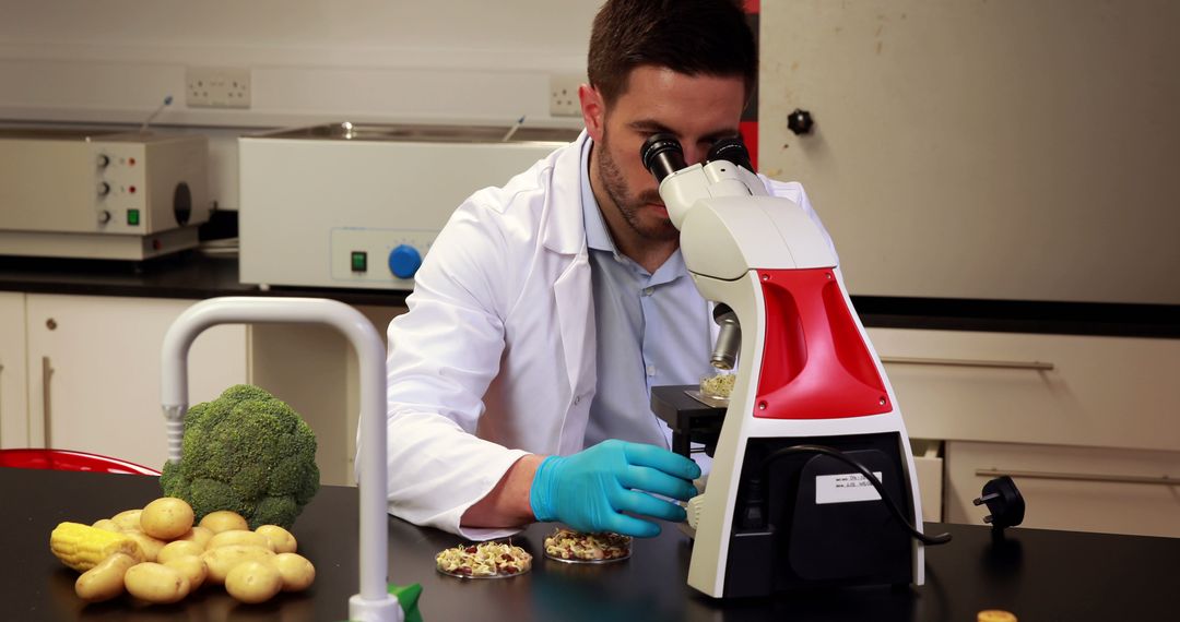 Scientist Examining Food Samples Under Microscope in Laboratory - Free Images, Stock Photos and Pictures on Pikwizard.com