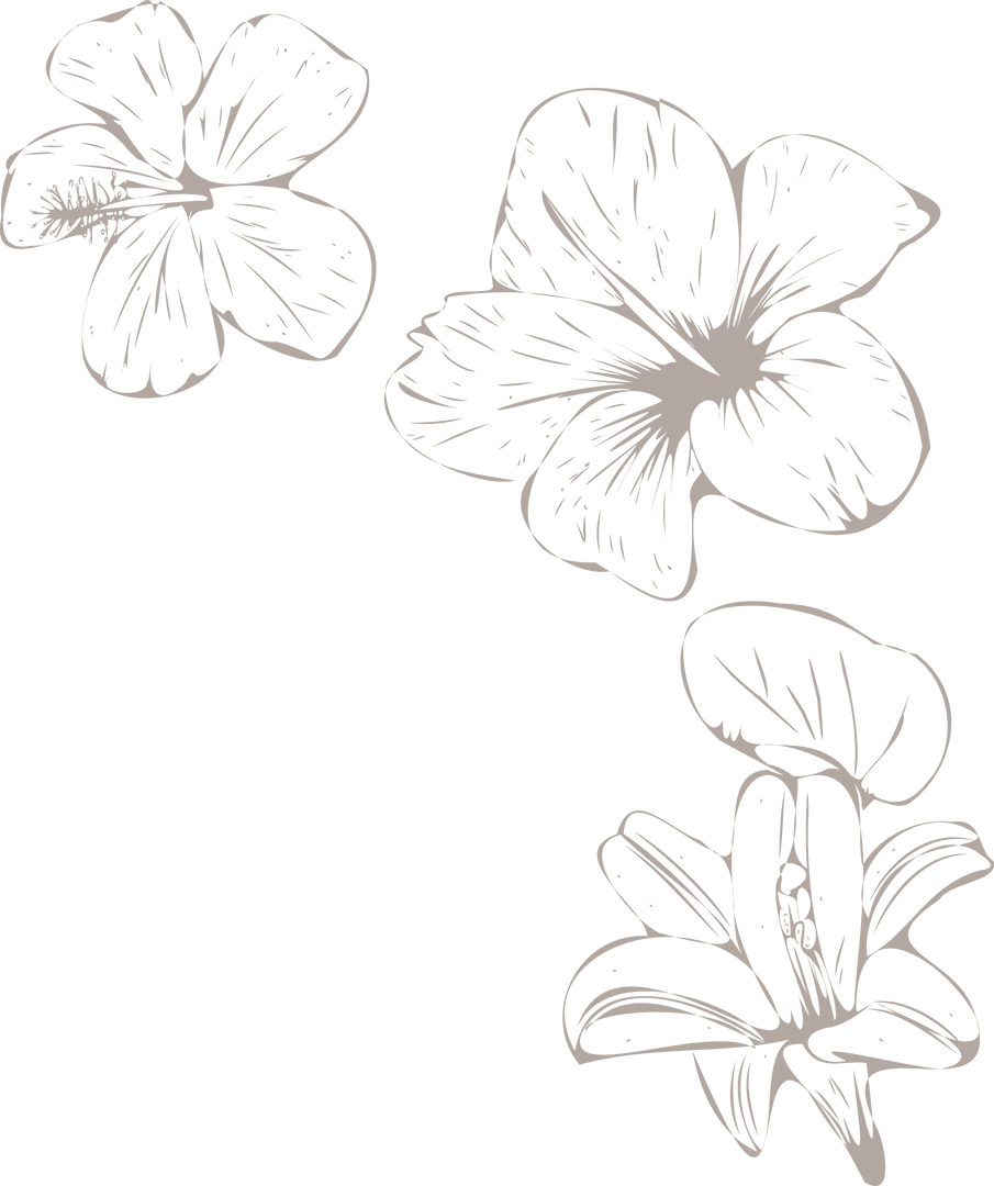 Elegant Tropical Floral Line Art on Transparent Background