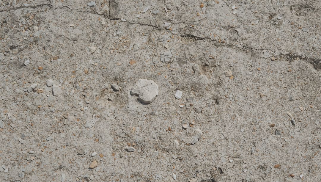 Close-up sandy gravel shoreline showing chalk stone and shell fragments texture