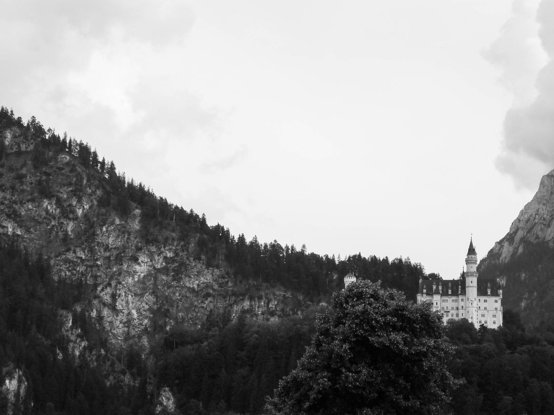 Neuschwanstein Castle Bavaria Germany  - Free Images, Stock Photos and Pictures on Pikwizard.com