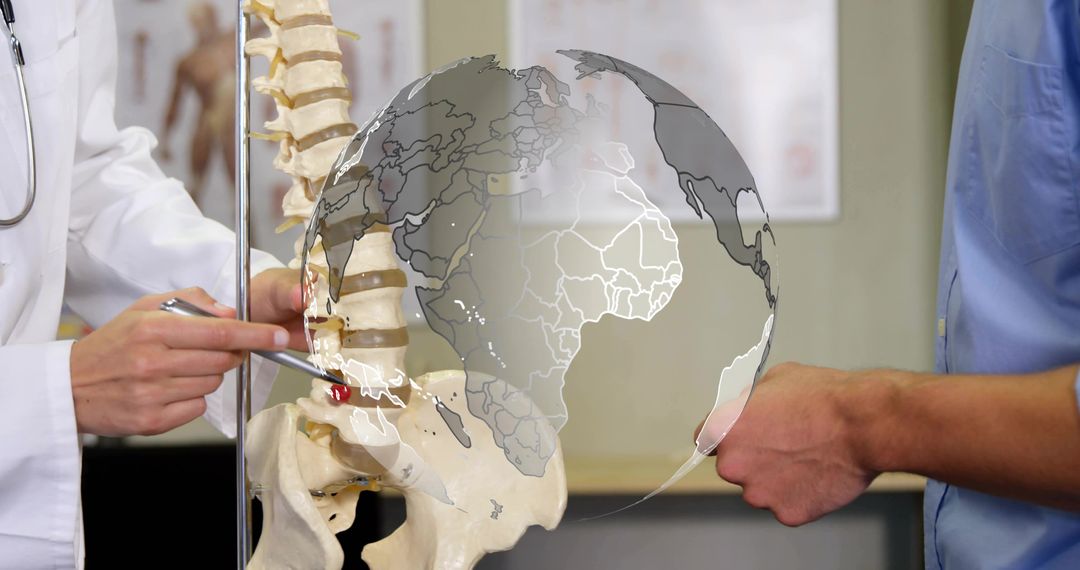 Doctor pointing at lumbar vertebra on spine model with globe overlay, demonstrating anatomy