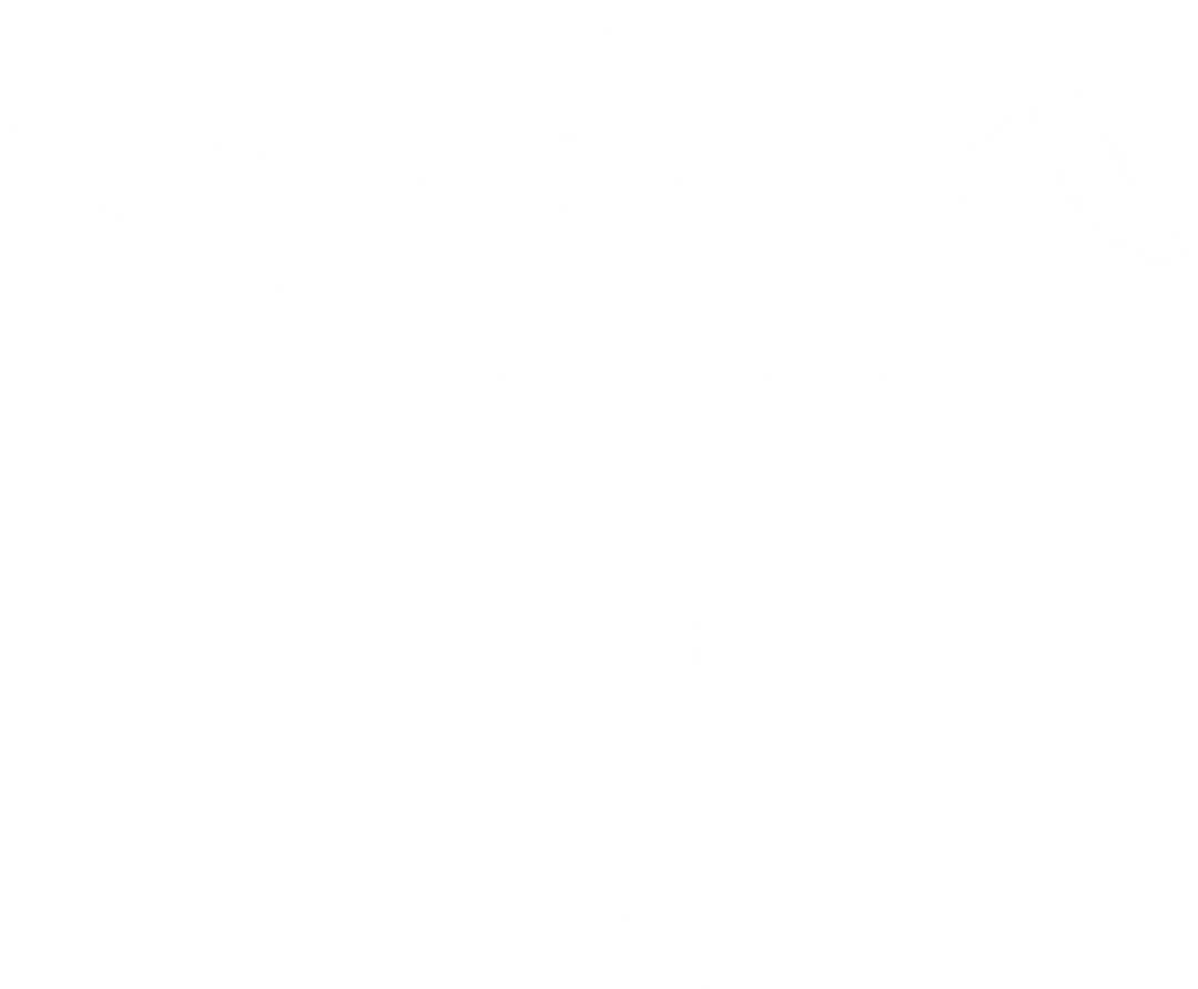 Karate Fighter Kicking Silhouette on Transparent Background - Download Free Stock Images Pikwizard.com