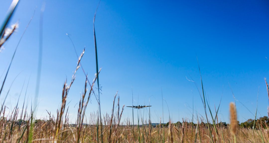 Plane Flying Over Tall Grass Field with Clear Blue Sky - Free Images, Stock Photos and Pictures on Pikwizard.com