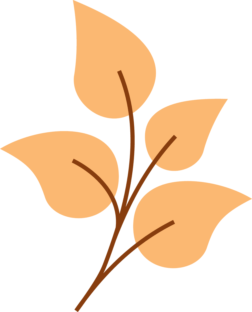 Minimalistic Botanical Illustration on Transparent Background