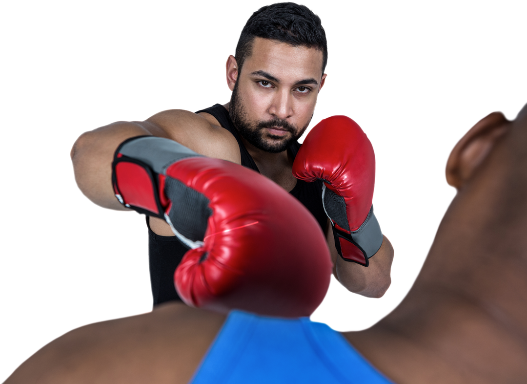 Transparent Boxing Coach Training Fighter with Red Gloves - Download Free Stock Images Pikwizard.com