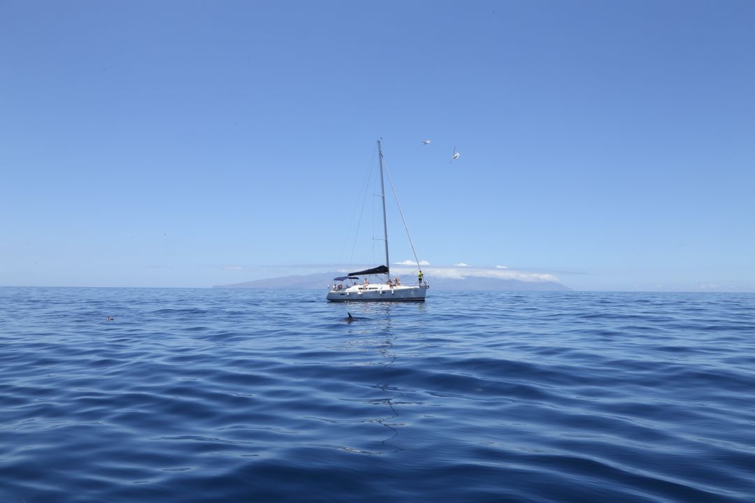 Peaceful Sailboat on Calm Ocean with Clear Blue Sky - Free Images, Stock Photos and Pictures on Pikwizard.com