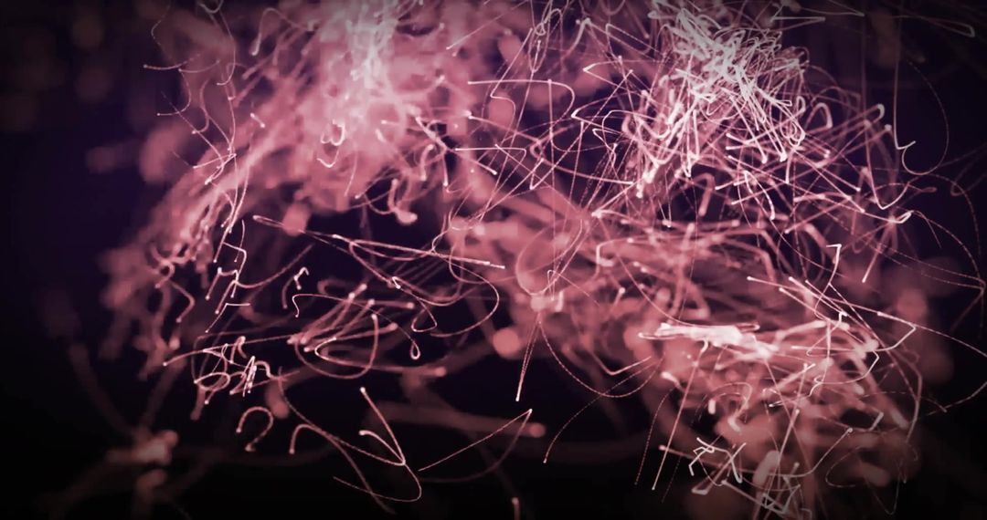 Abstract Motion of Light Trails on Black Background