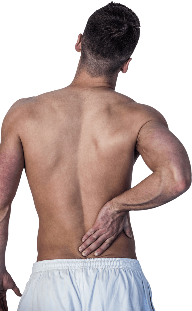 Transparent View of Man with Lower Back Pain
