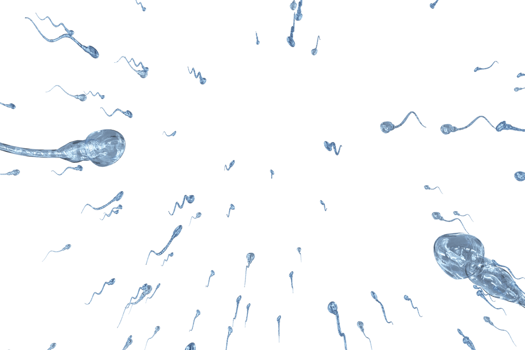 Translucent Sperm Cells Floating in Black Space