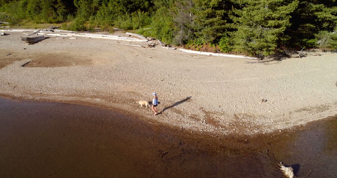 Aerial View of Woman Walking Dog on Quiet Beach Shoreline - Free Images, Stock Photos and Pictures on Pikwizard.com