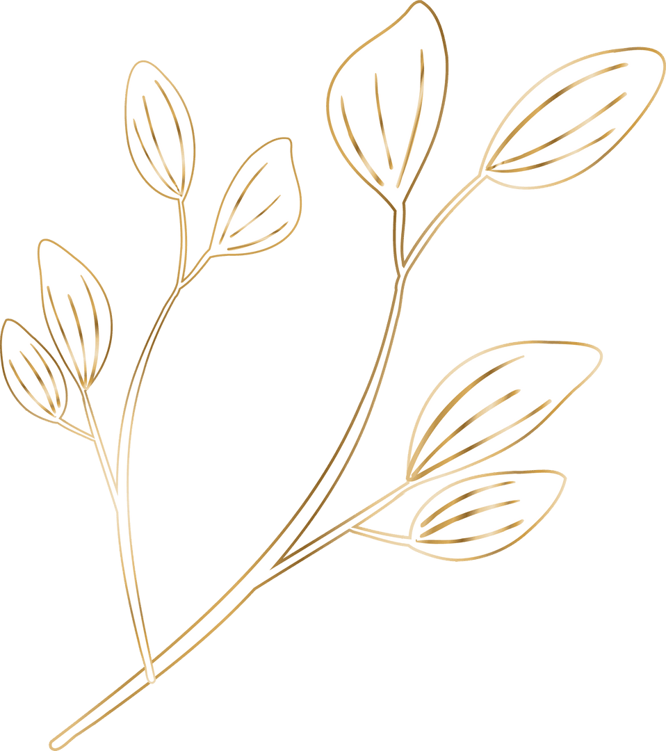 Elegant Botanical Branch Illustration with Gold Lines on Transparent Background