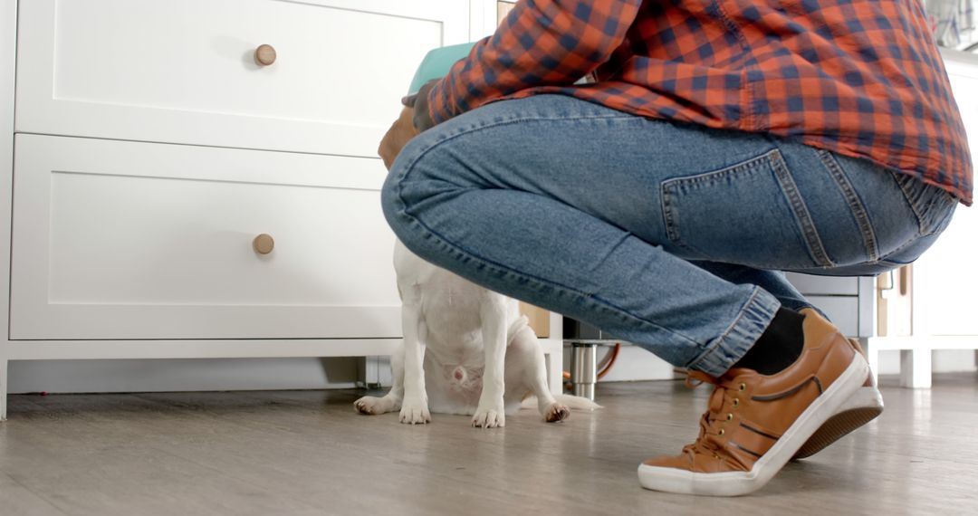 Person Feeding Puppy in Modern Kitchen - Free Images, Stock Photos and Pictures on Pikwizard.com