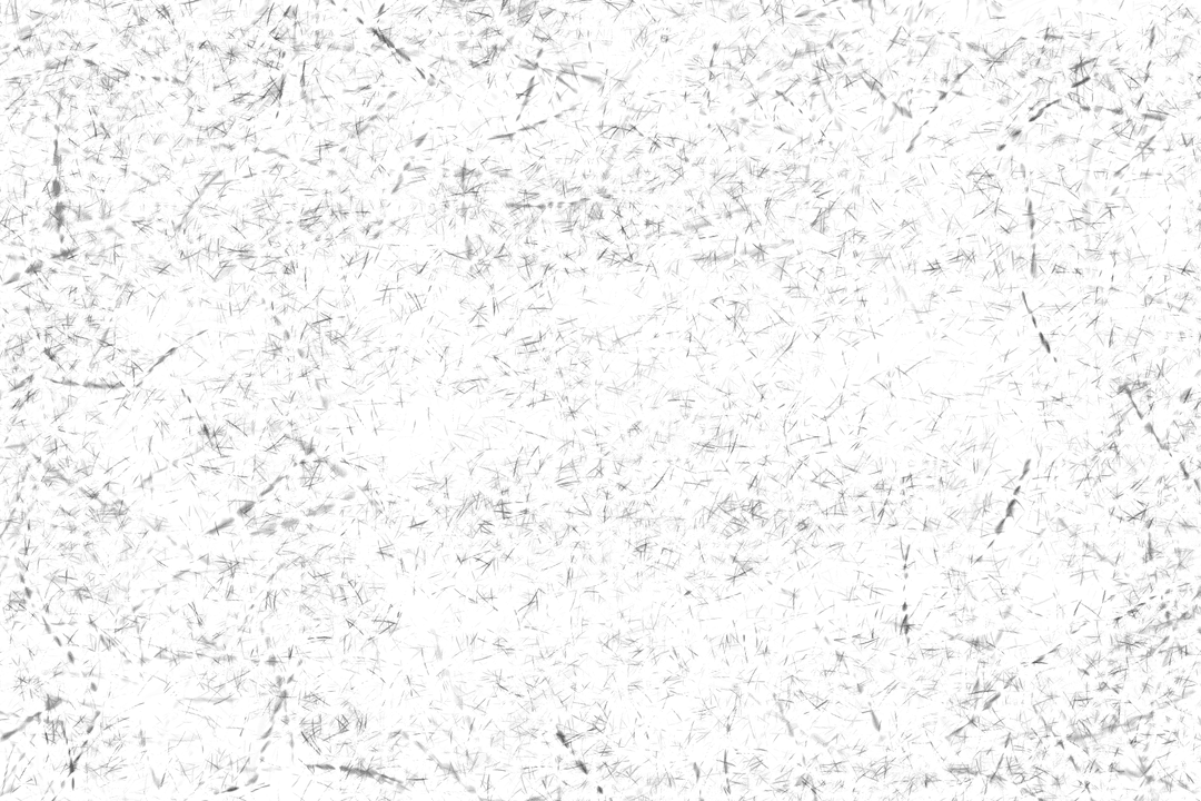 Abstract Black Detailed Pattern on Transparent Background Illustration