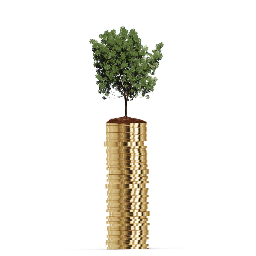 Tree Growing from Stack of Gold Coins on Transparent Background - Download Free Stock Images Pikwizard.com