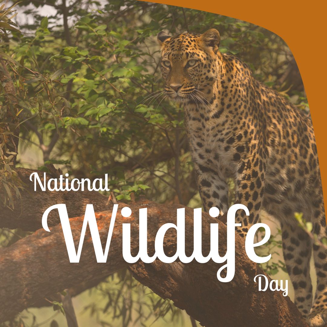 Leopard in Forest Celebrating National Wildlife Day Promotion