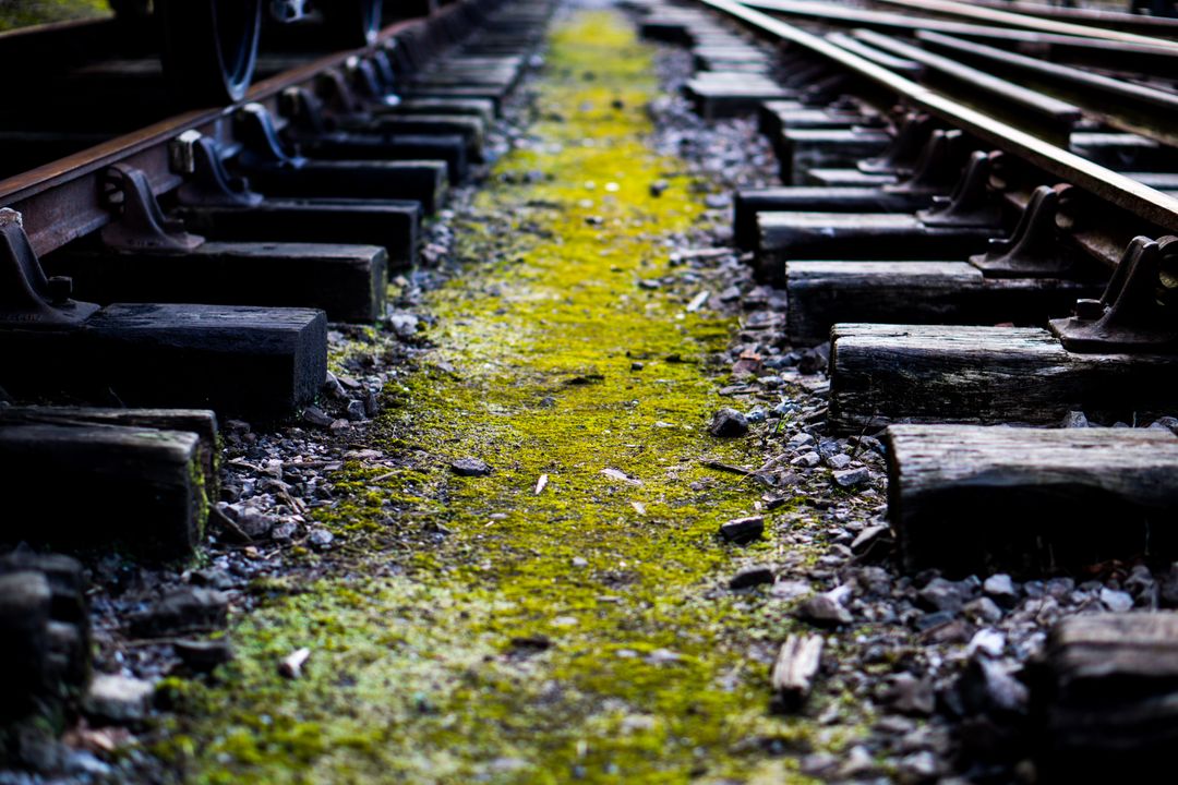 Old Railway Tracks Covered with Moss - Free Images, Stock Photos and Pictures on Pikwizard.com