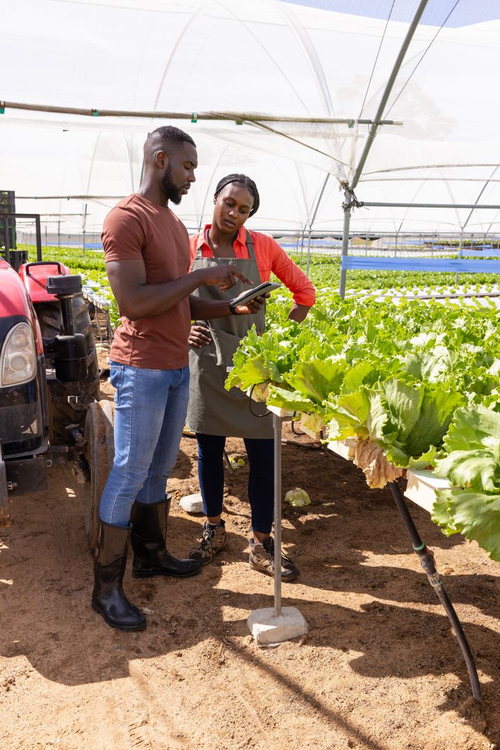 Modern Greenhouse Farming: Coworkers Using Tablet for Sustainable Agriculture