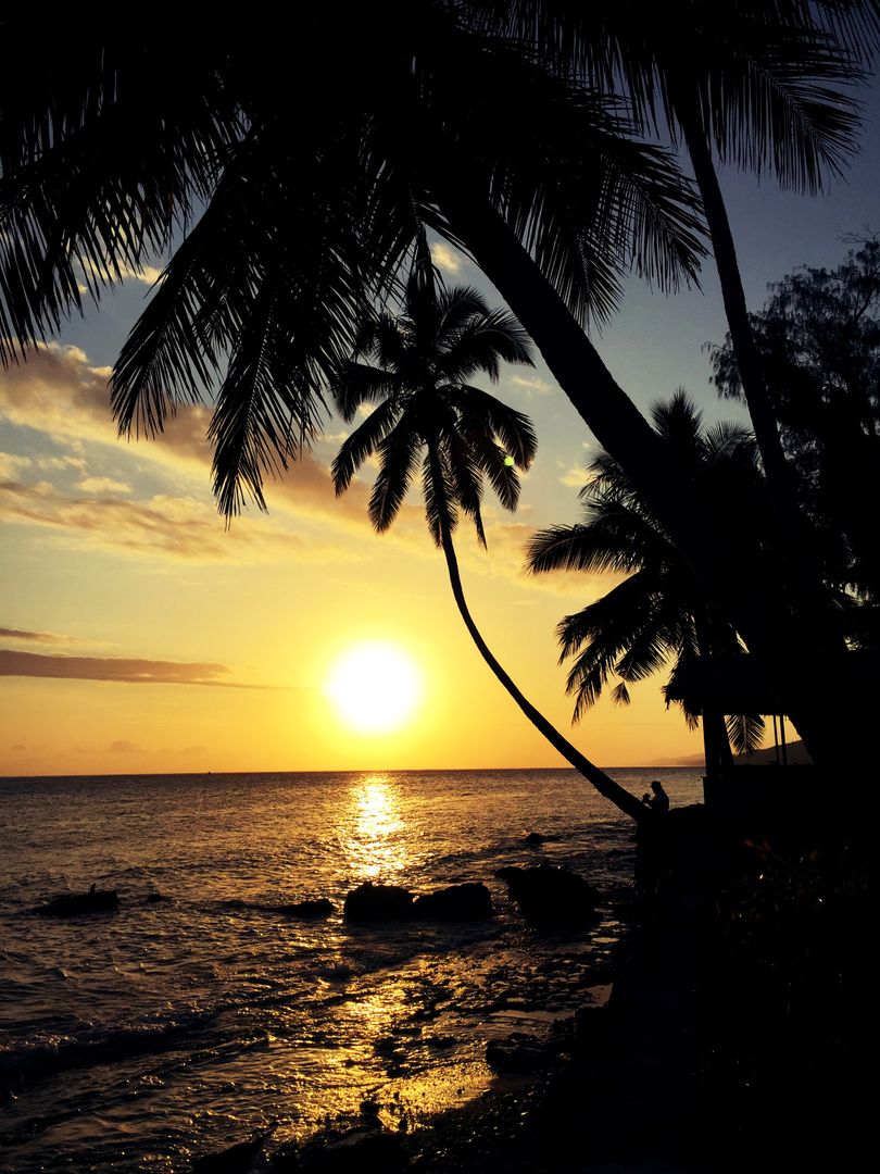 Stunning Tropical Beach Sunset with Silhouetted Palm Trees - Free Images, Stock Photos and Pictures on Pikwizard.com