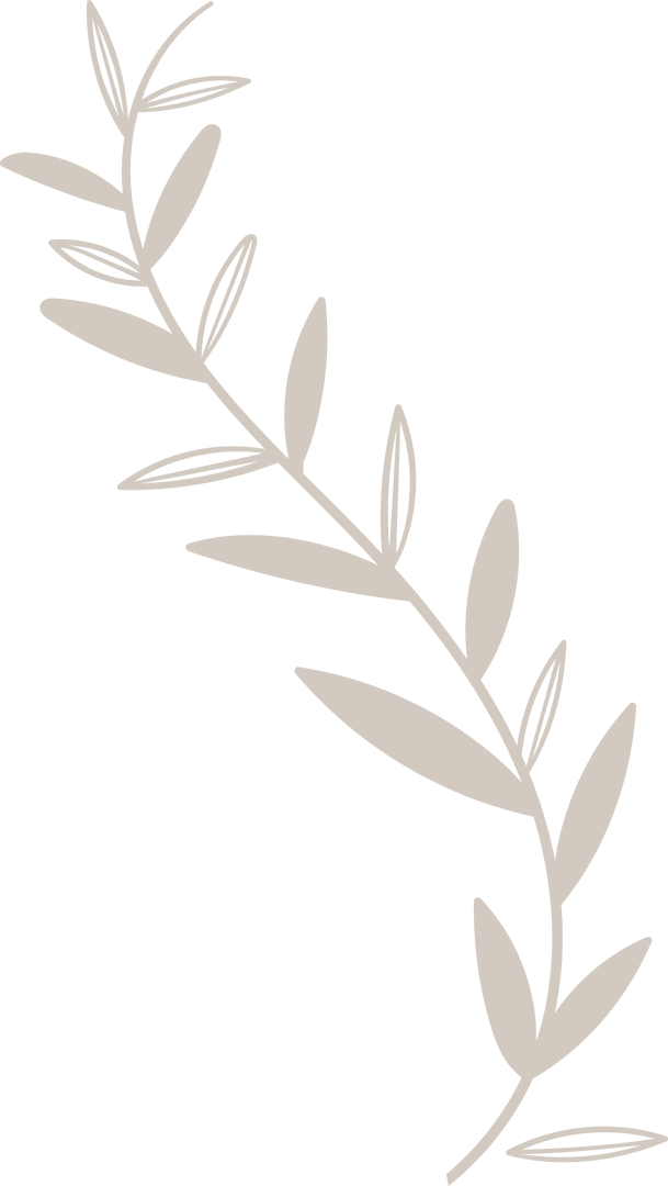 Elegant Beige Botanical Branch on Transparent Canvas