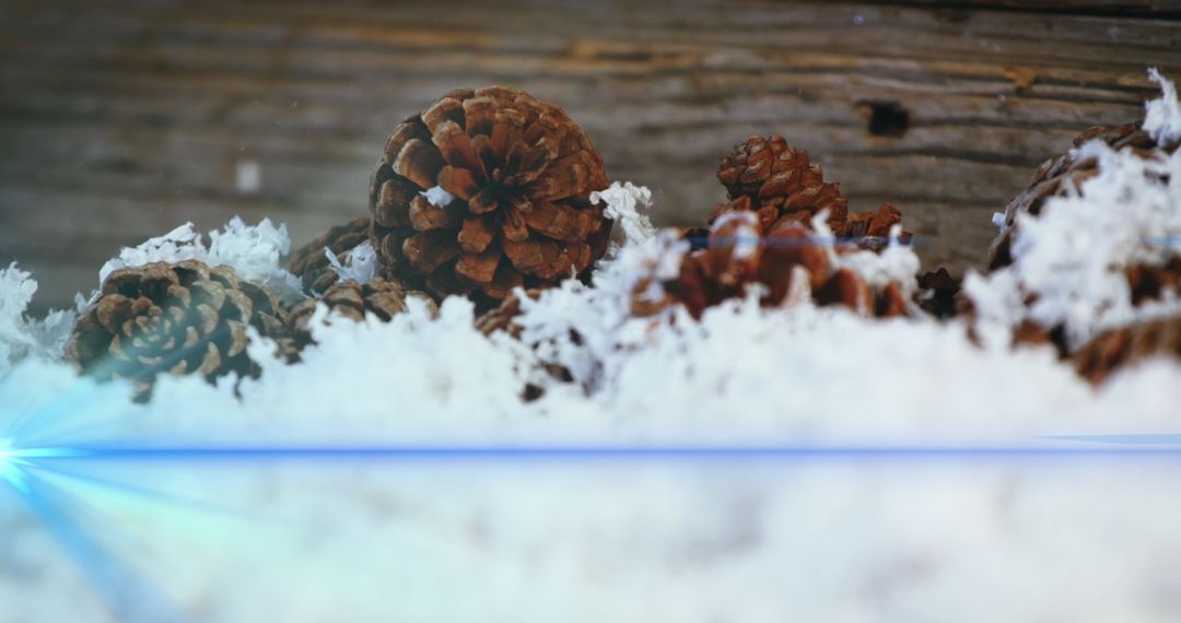 Pine Cones with Festive Snow and Glowing Lights