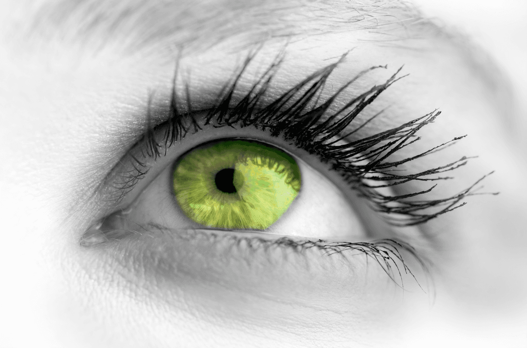 Transparent Close-Up of Green Eye with Long Eyelashes