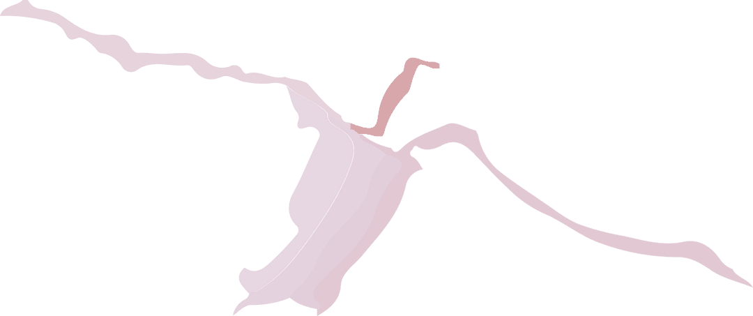 Elegant Pink Ribbon Abstract on Transparent Canvas