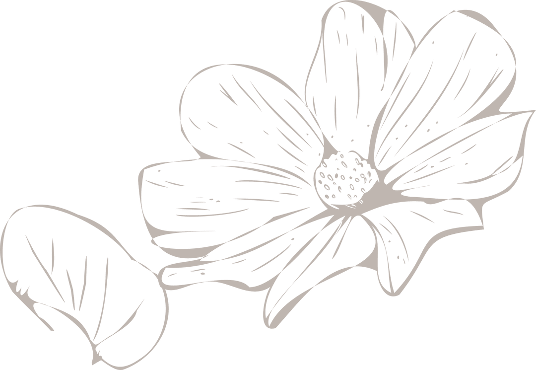 Minimalist Transparent Botanical Flower Sketch in Vector