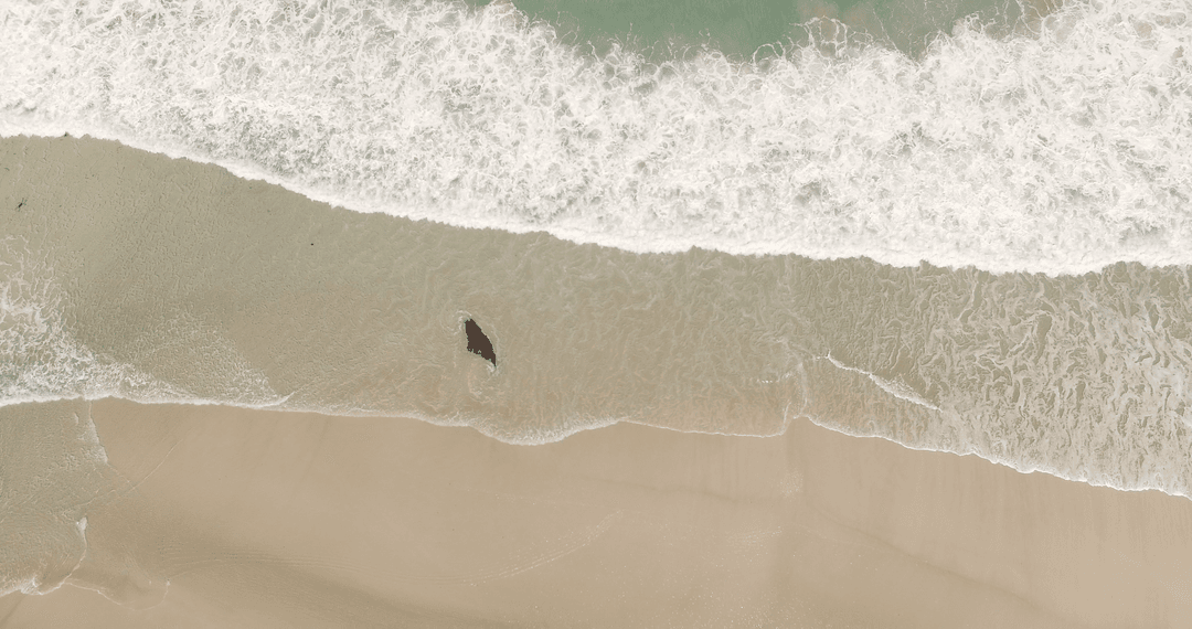 Transparent Ocean Waves Crashing on Sandy Beach from Above
