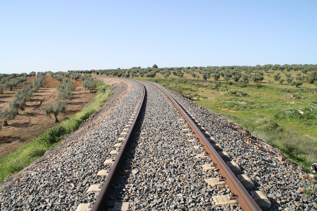 Railway Tracks Curving Through Olive Tree Fields on a Clear Day - Free Images, Stock Photos and Pictures on Pikwizard.com