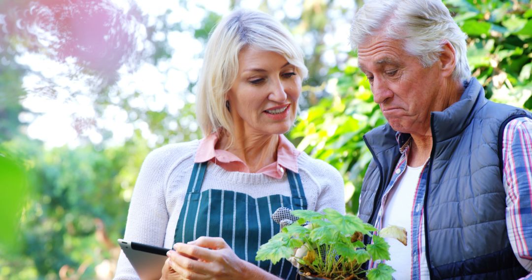 Mature Couple Examining Plant in Greenhouse - Free Images, Stock Photos and Pictures on Pikwizard.com