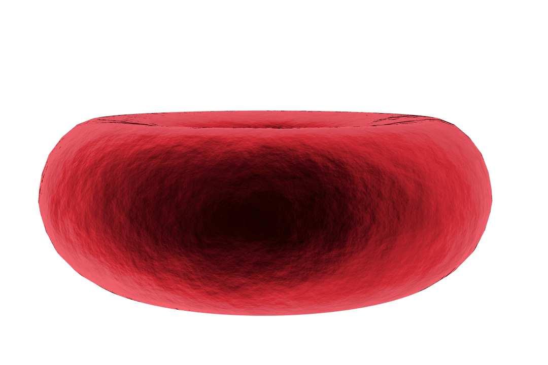 3D Realistic Transparent Red Blood Cell Illustration