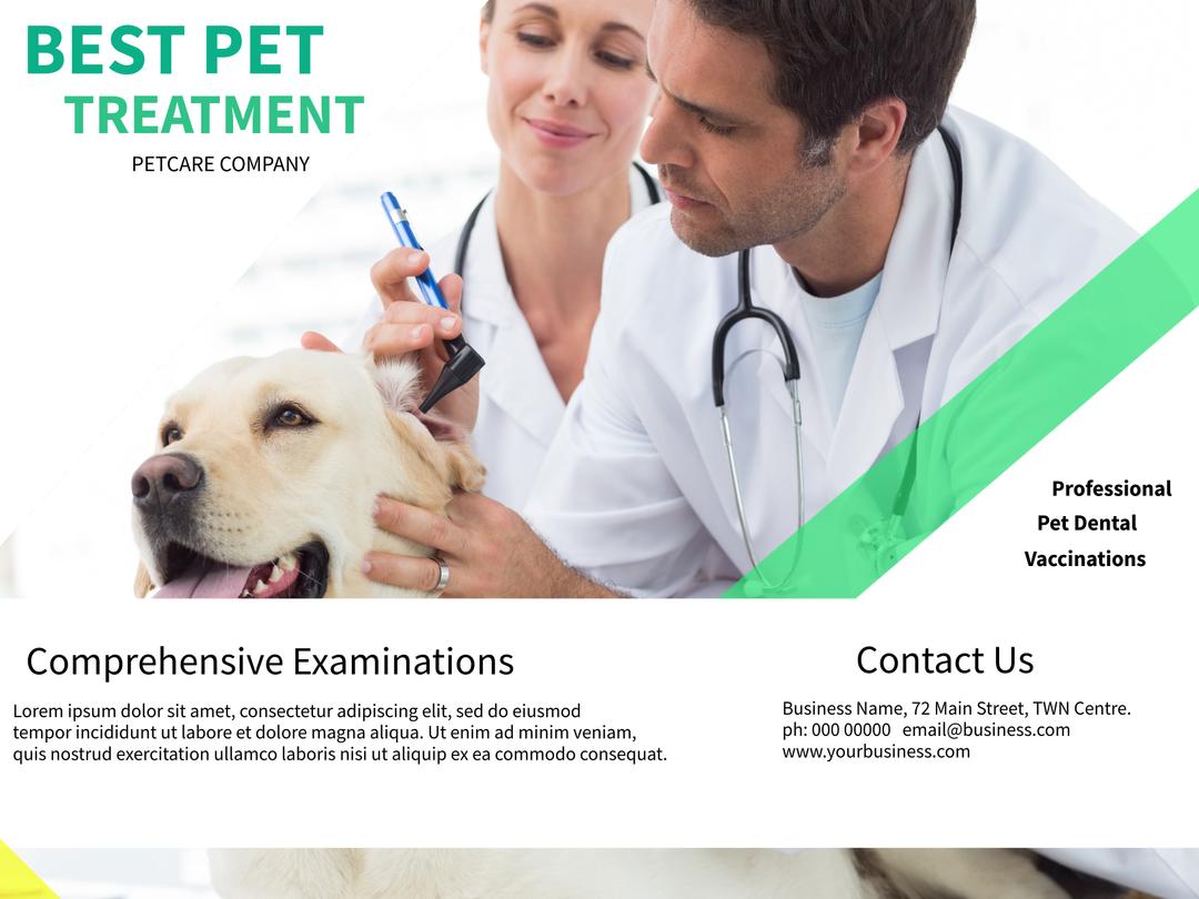 Vet vaccinates dog in ad for pet healthcare and education. from Pikwizard