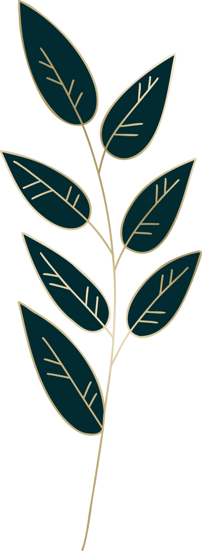 Transparent Eucalyptus Sprig with Teal Leaves on Transparent Background