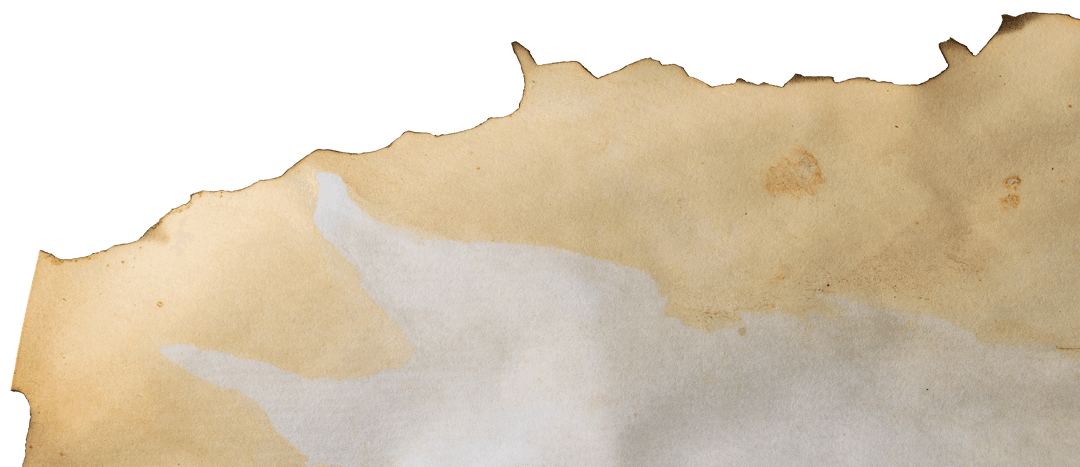 Burnt Paper Texture with Frayed Edges on Transparent Background