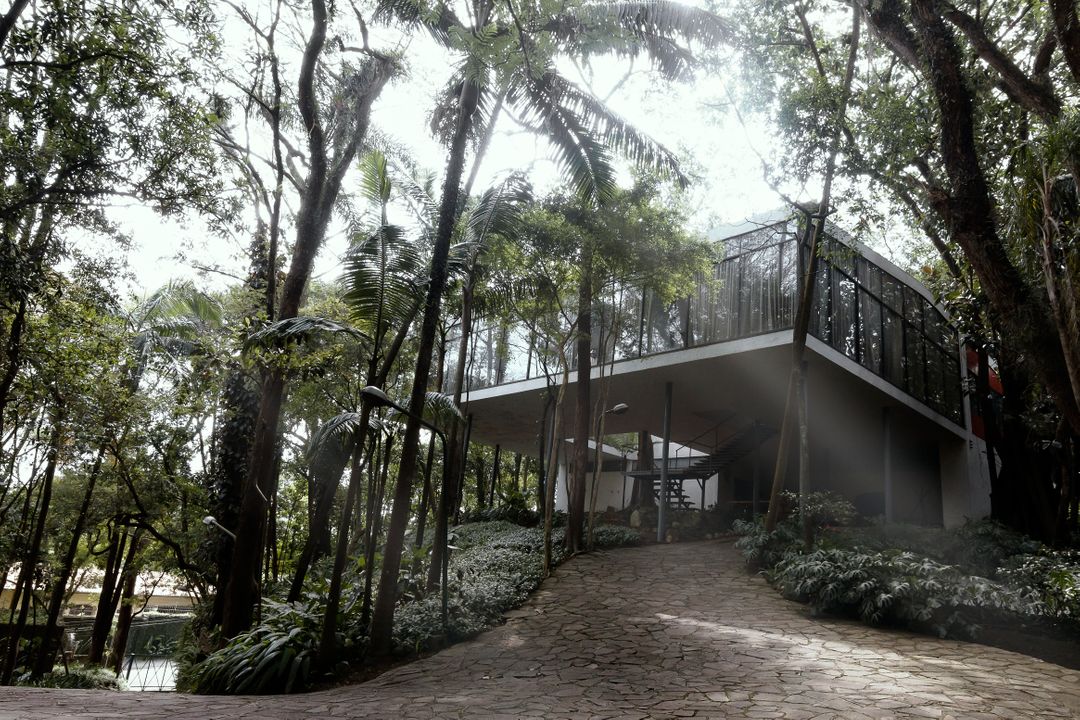 Modern Glass House Surrounded by Tropical Forest - Free Images, Stock Photos and Pictures on Pikwizard.com