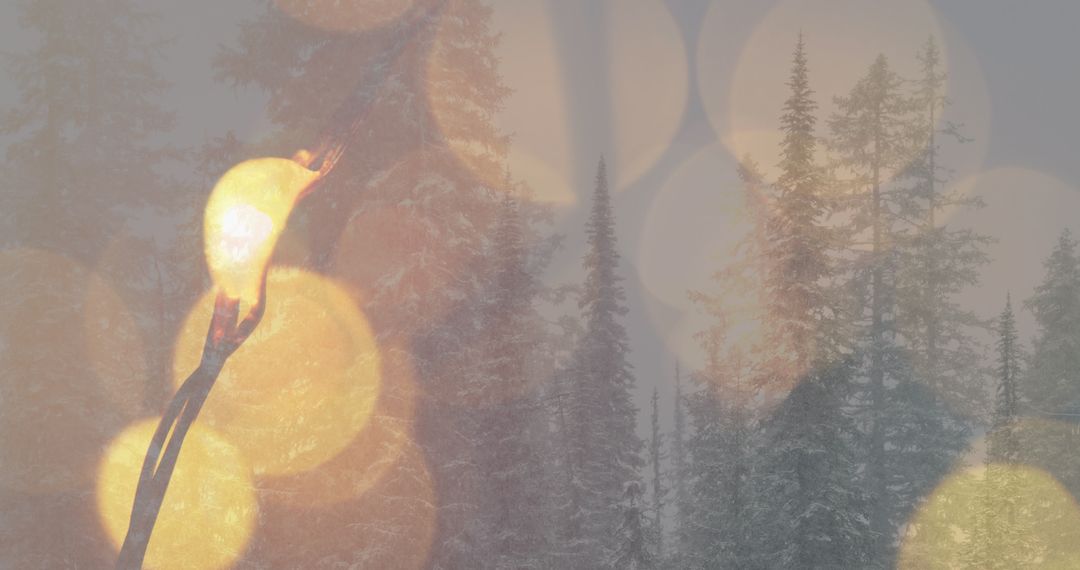 Winter Forest with Magical Bokeh Light Overlay