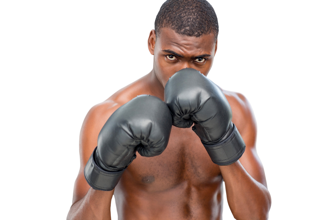 African American Boxer in Gloves Posing on Transparent Background - Download Free Stock Images Pikwizard.com