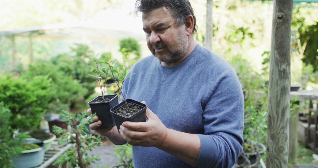 Man Holding Potted Plants in Garden on Sunny Day - Free Images, Stock Photos and Pictures on Pikwizard.com