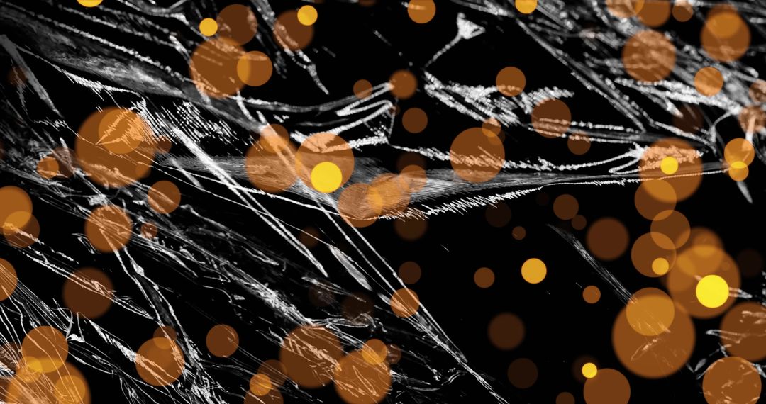 Abstract Light Patterns on Black with Golden Bokeh Elements