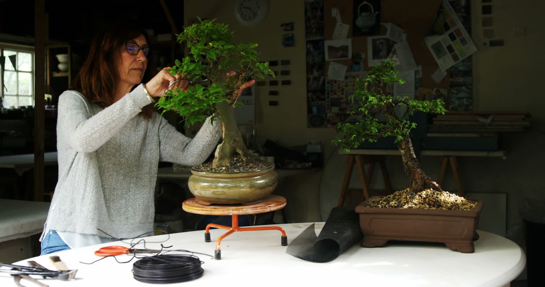 Woman Taking Care of Bonsai Trees in Workshop - Free Images, Stock Photos and Pictures on Pikwizard.com