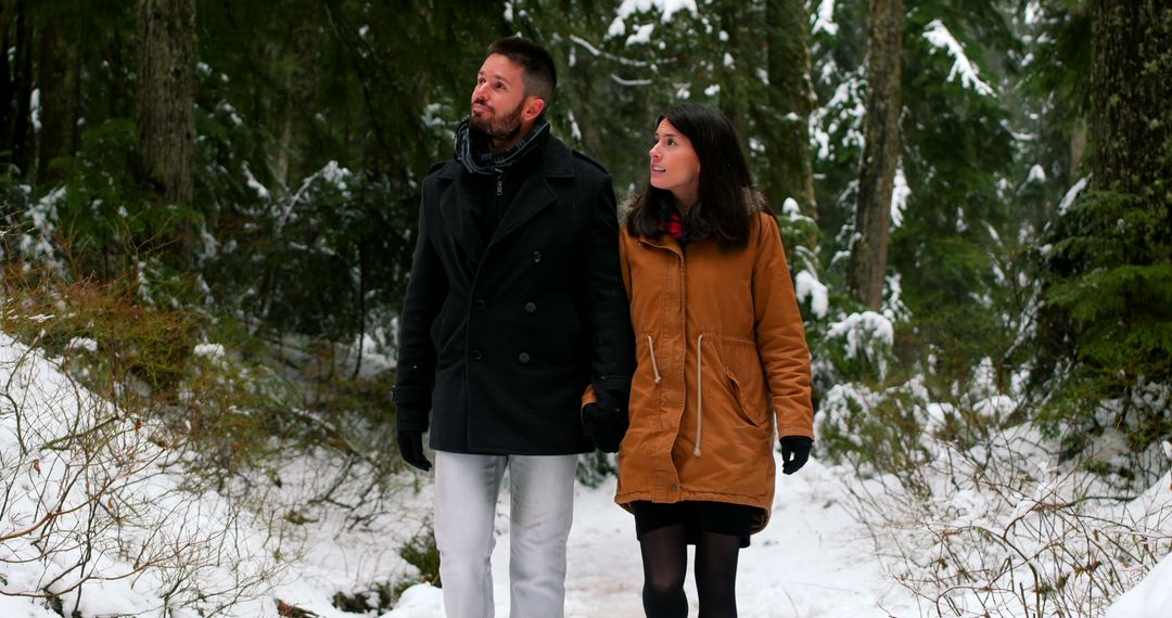 Couple Walking in Winter Forest Wearing Casual Clothing - Free Images, Stock Photos and Pictures on Pikwizard.com