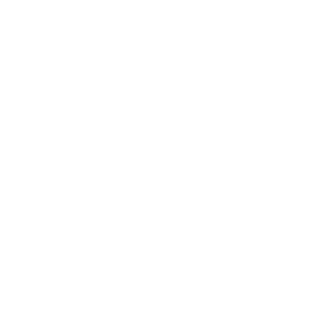 Intricate White Pattern on Transparent Background