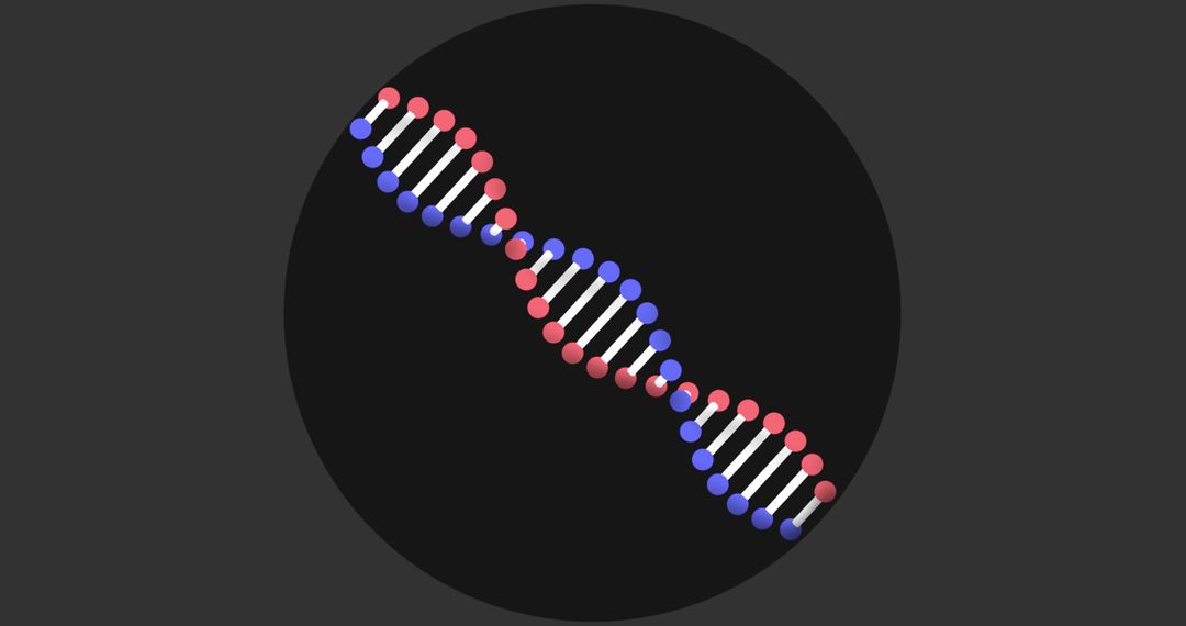 3D Double Helix DNA Strand on Gray Background