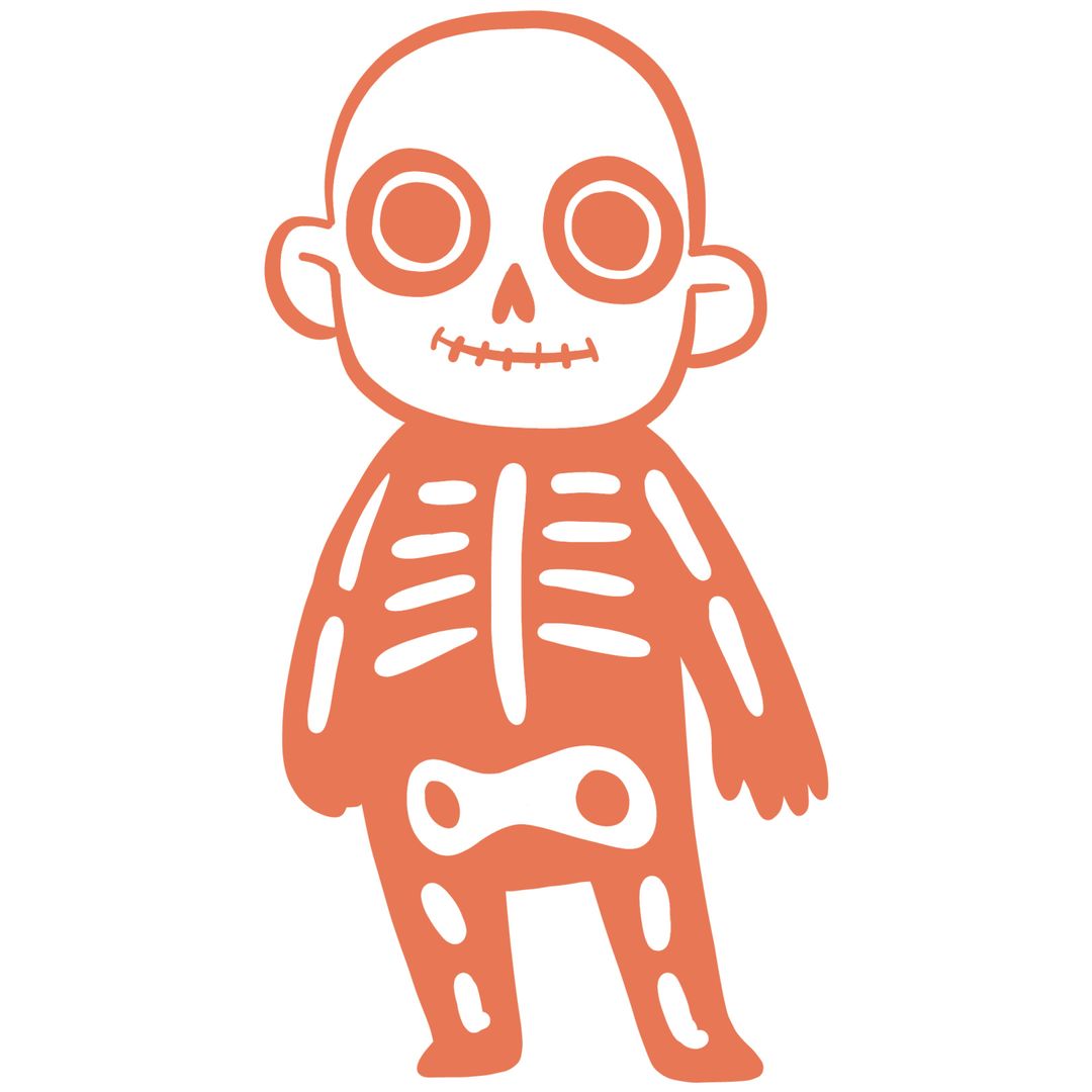Cute Simplified Skeleton Illustration for Kids
