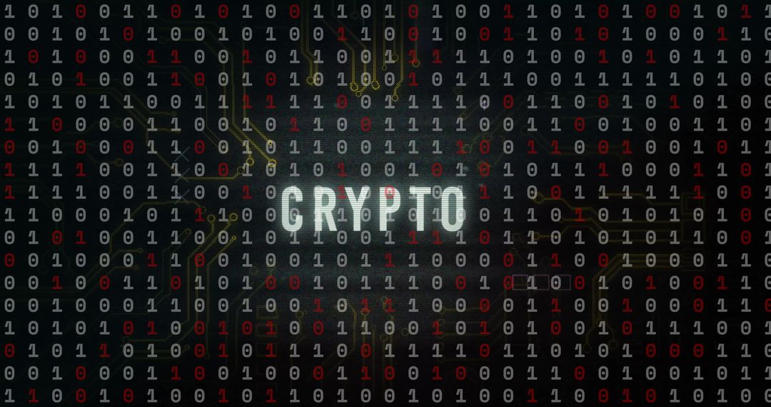 Binary Code Highlighting Crypto Concept