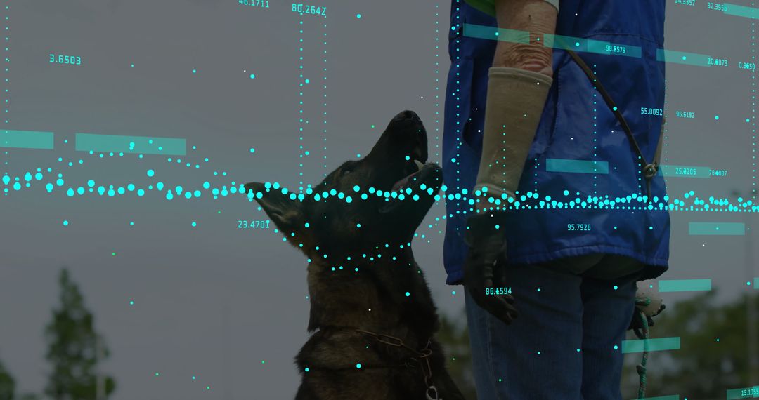 Gloved Handler Training German Shepherd with Digital Data Overlay