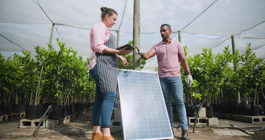 Diverse Team Analyzing Solar Panel at Nursery for Sustainable Practices