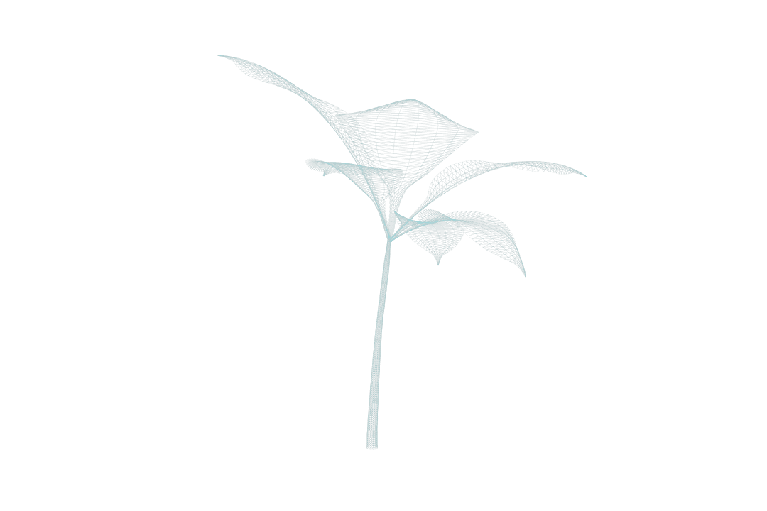 Transparent 3D Leaf Model with Artistic Details
